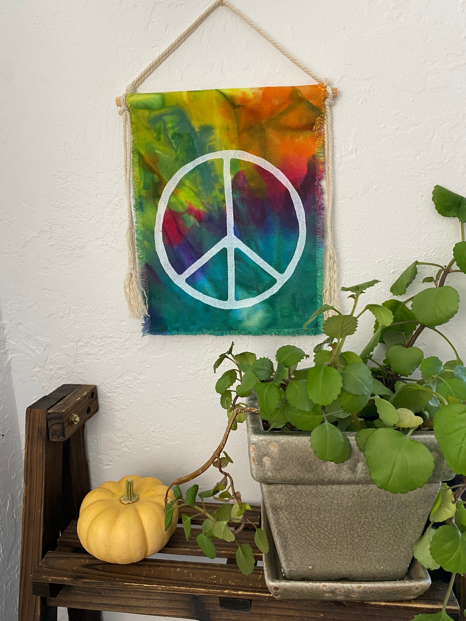 Rainbow Peace Sign Wall Hanging