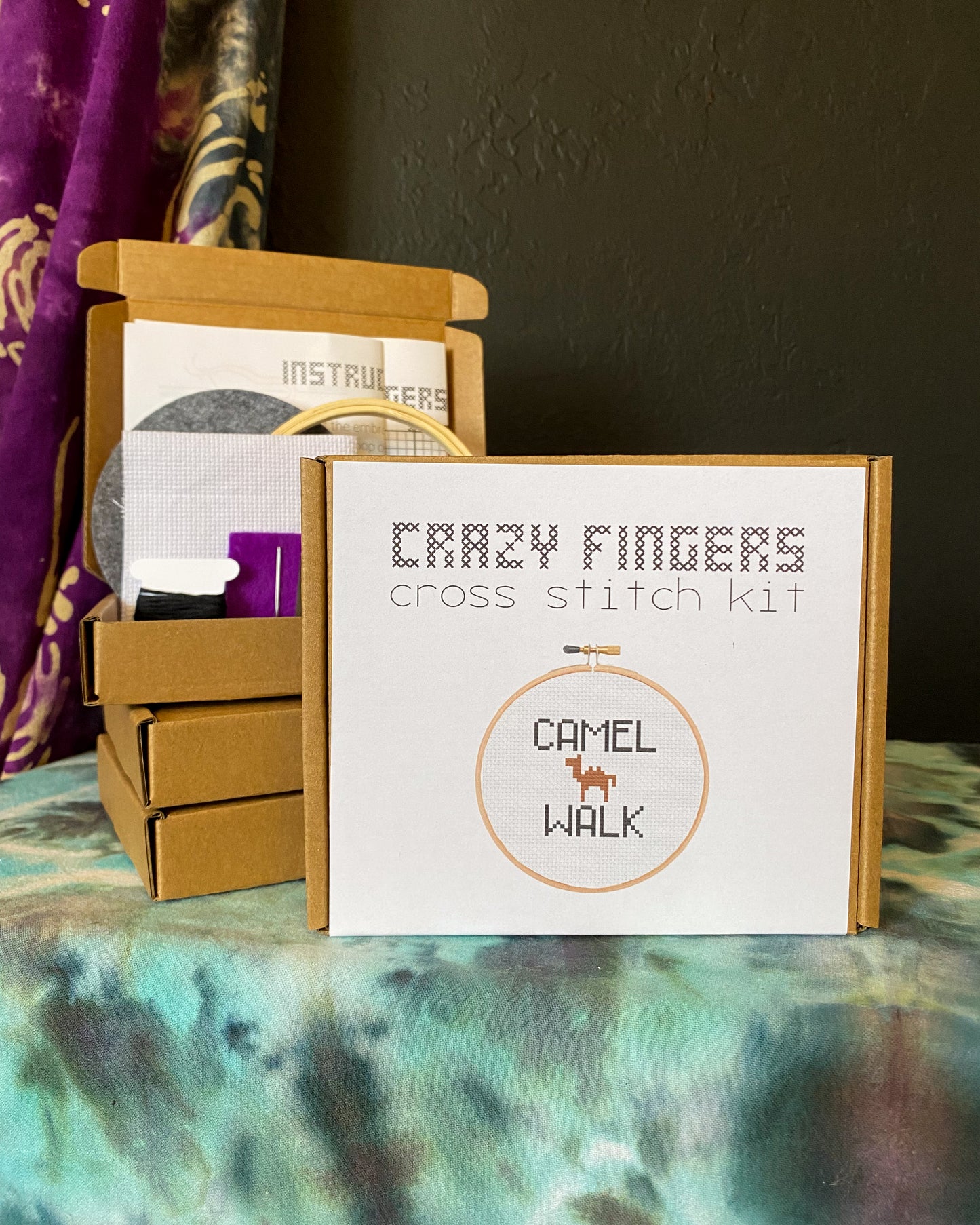 Phish Camel Walk DIY Beginner Cross Stitch Kit