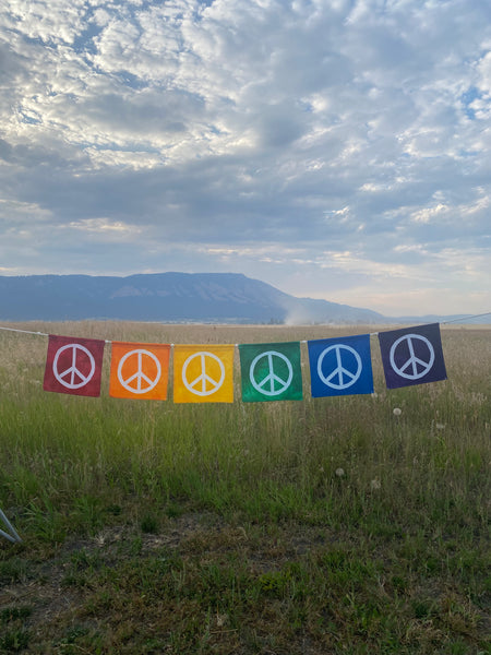 Rainbow Peace Sign Flag Set of 6