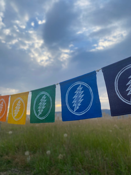 Full Rainbow 13 Point Lightning Bolt Flag Set - FREE SHIPPING