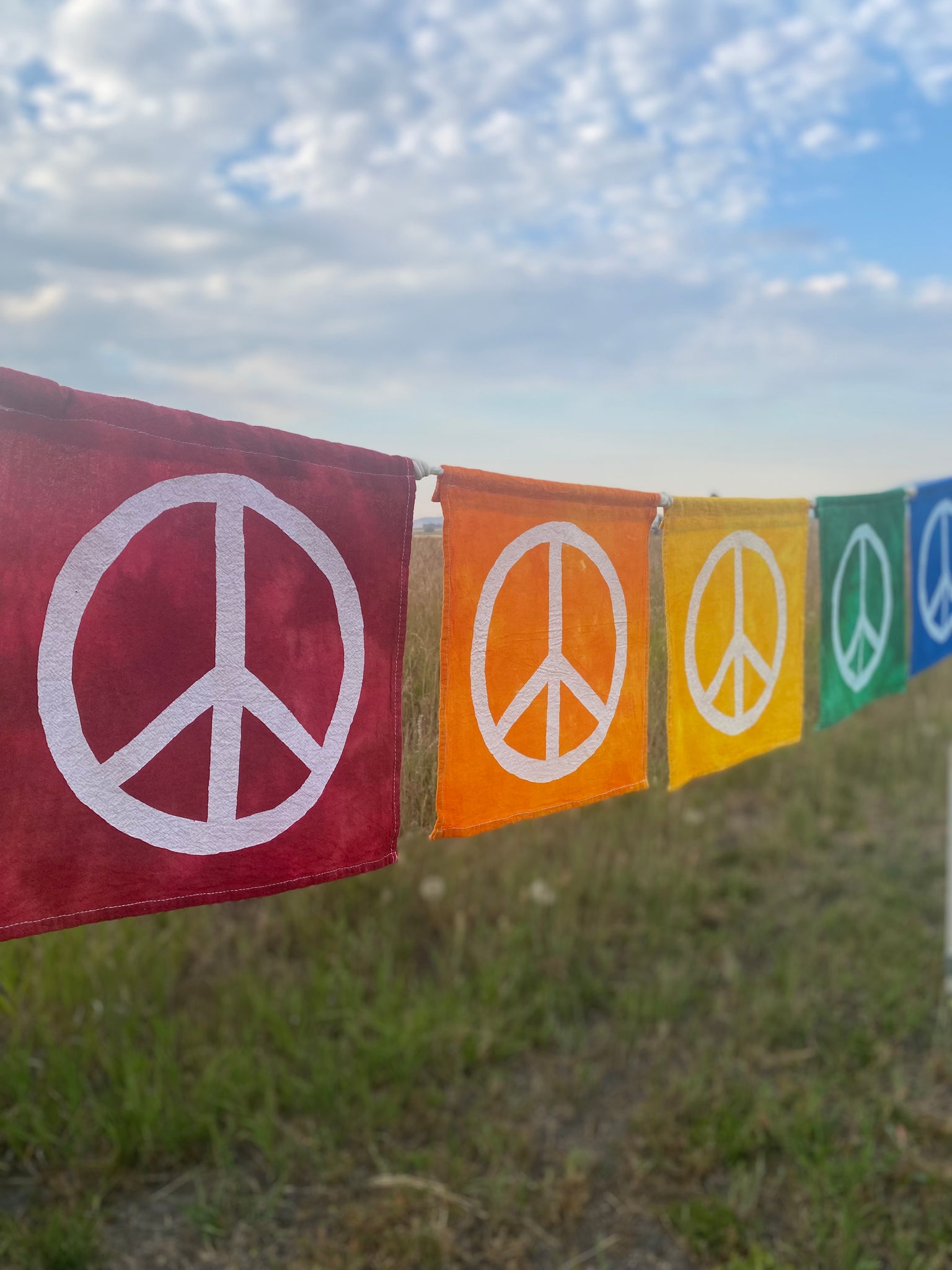 Rainbow Peace Sign Flag Set of 6